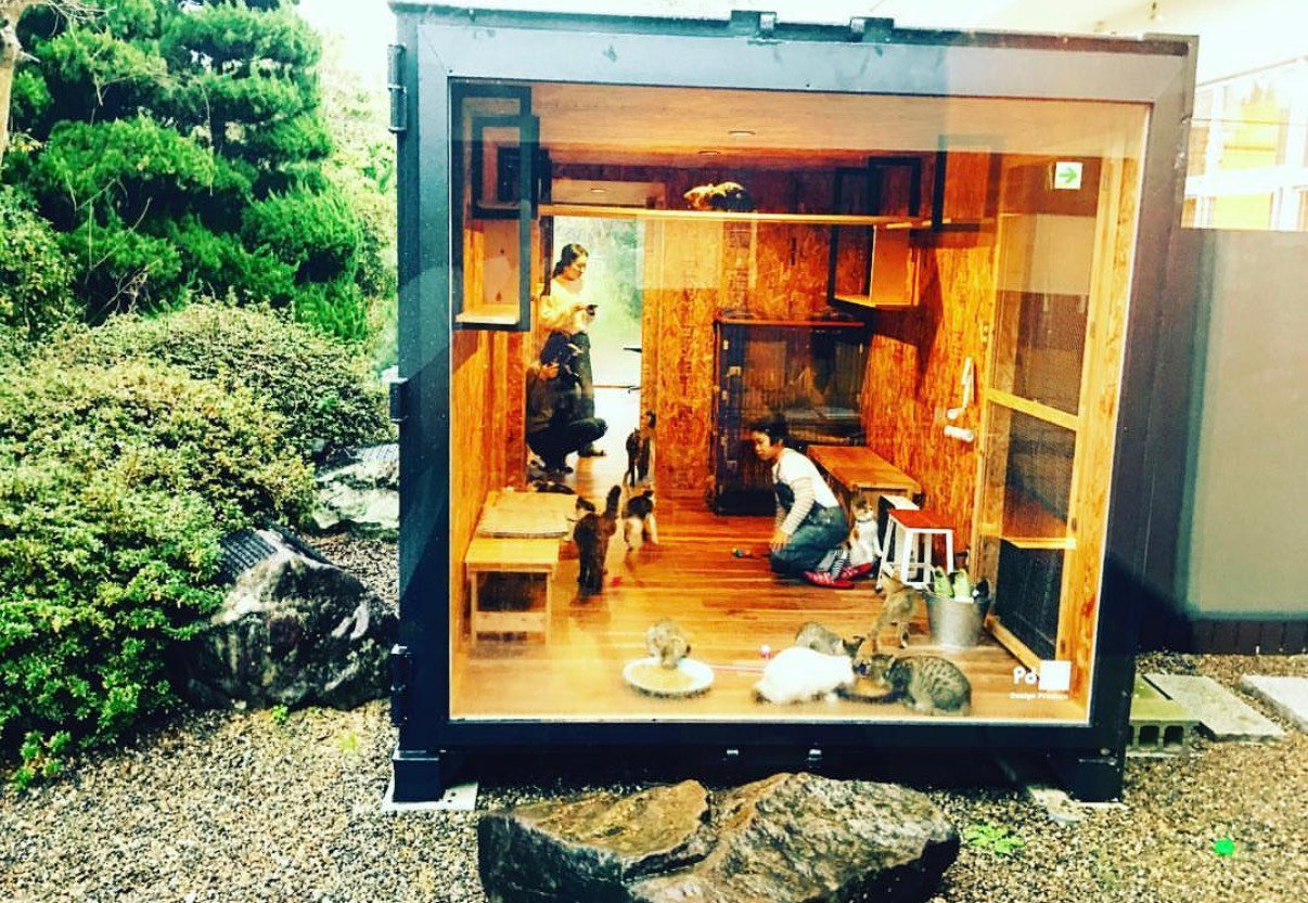 建物建設中の足場